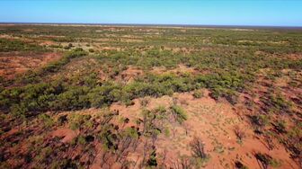 Outback Opal Hunters S13E02 1080p HEVC x265-MeGusta