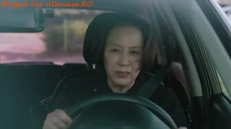 RETETA 43